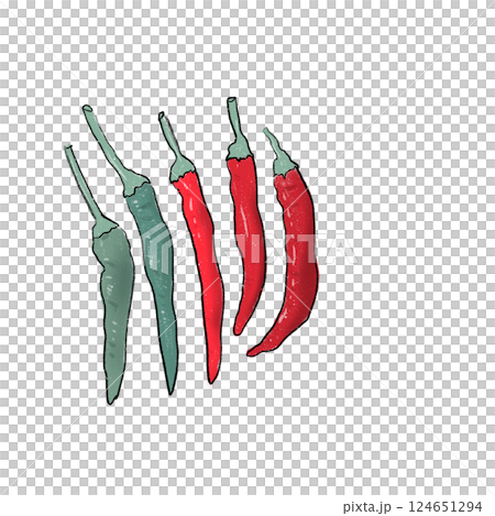 とうがらし とうがらし 124651294