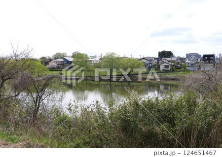 坪井近隣公園の春 坪井近隣公園の春 124651467