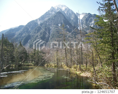 上高地の岳沢湿原（長野県松本市） 124651707
