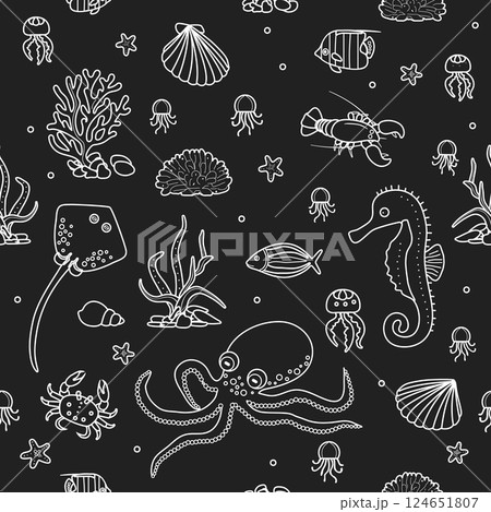 Pattern Underwater Seabed Ocean Sea Marine habitat 124651807
