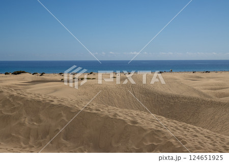 Sand dunes and Atlantic ocean, Gran Canaria, Spain 124651925