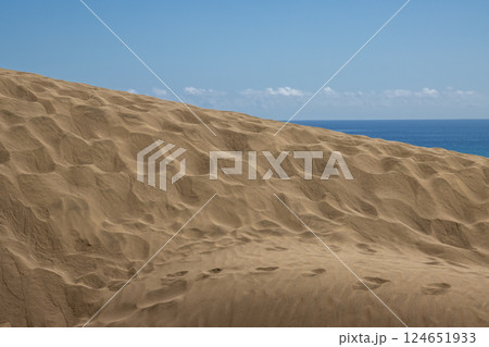 Sand dunes and Atlantic ocean, Gran Canaria, Spain 124651933