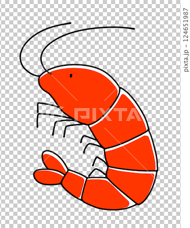 Loose and simple shrimp, solid color 124651987