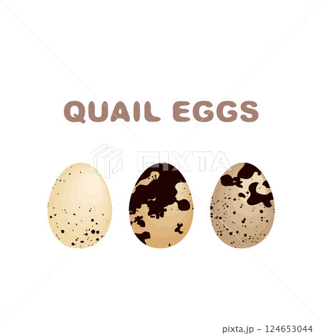 Quail Eggs Icon, Diet Protein Product with Eggshell Set, Shell Speckled Texture, Shell Spotted Quail Eggs Icon, Diet Protein Product with Eggshell Set, Shell Speckled Texture, Shell Spotted 124653044