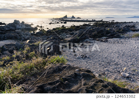 神奈川県真鶴町 朝の三ツ石海岸 神奈川県真鶴町 朝の三ツ石海岸 124653302