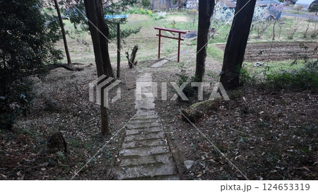 神社の本殿から鳥居を見下ろす 神社の本殿から鳥居を見下ろす 124653319