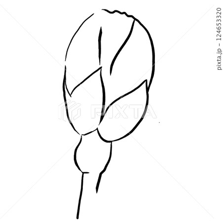 Hand drawn rose flower bud black outlines silhouette, Sakura wedding isolated illustration 124653320