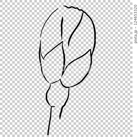 Hand drawn rose flower bud black outlines silhouette, Sakura wedding isolated illustration 124653320