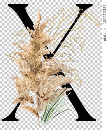 Black letter X with watercolor biege and golden dried pampas grass, tropical wedding illustration 124653322