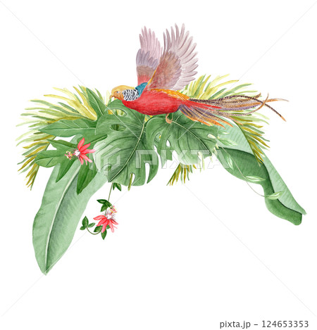Flying golden pheasant, palm leaves and passion flowers watercolor illustration. Hand drawn rainforest nature isolated clipart, sketch style. Exotic paradise bird and Monstera, liana plants. Red green 124653353