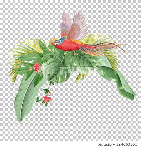 Flying golden pheasant, palm leaves and passion flowers watercolor illustration. Hand drawn rainforest nature isolated clipart, sketch style. Exotic paradise bird and Monstera, liana plants. Red green 124653353