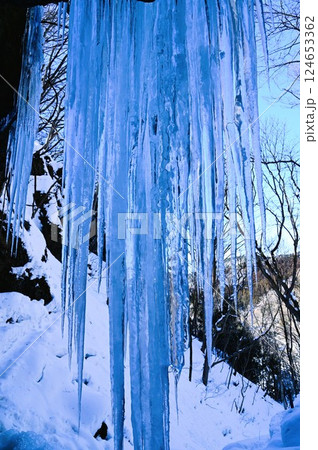 たろし滝のツララ 124653362