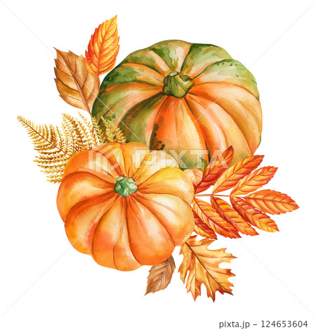 Autumn pumpkins, leaves composition watercolor botanical illustration fall harvest thanksgiving season decoration art 124653604