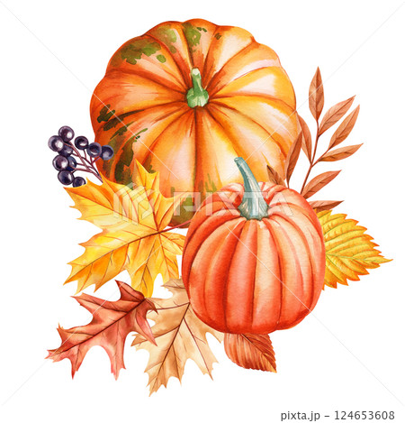 watercolor autumn pumpkins, yellow and red leaves and berries seasonal composition fall harvest botanical illustration 124653608