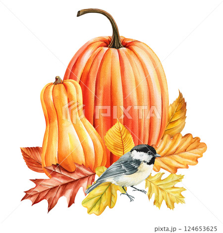 watercolor fall pumpkins with autumn leaves and chickadee bird seasonal thanksgiving harvest botanical white background 124653625