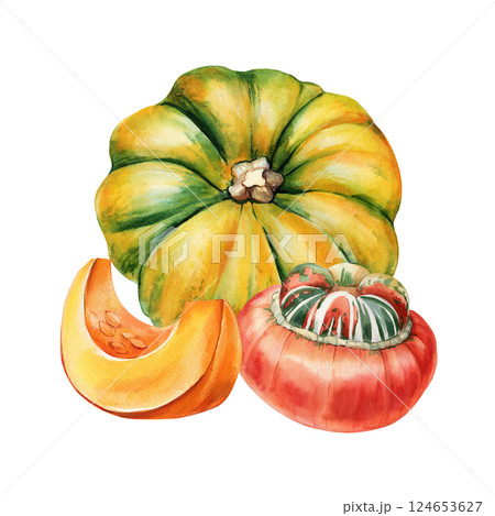 watercolor cut pumpkin, colorful decorative gourds autumn vegetable food composition isolated botanical thanksgiving watercolor cut pumpkin, colorful decorative gourds autumn vegetable food composition isolated botanical thanksgiving 124653627