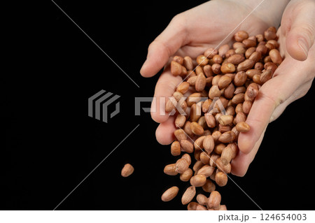 Hands pouring brown peanut kernels on black background close-up copy space for text 124654003