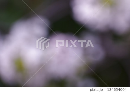 咲き誇るピンクの桜をイメージした背景素材 咲き誇るピンクの桜をイメージした背景素材 124654004