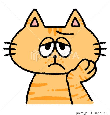 困った顔のねこのイラスト 困った顔のねこのイラスト 124654045
