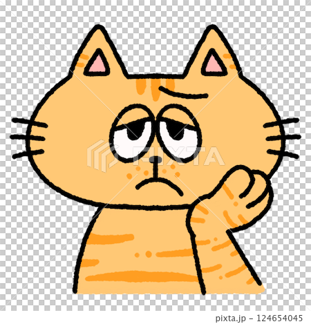 困った顔のねこのイラスト 困った顔のねこのイラスト 124654045