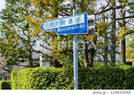 京都市左京区　丸太町通りの標識　丸太町通り東端 124655040