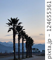 Palm Trees Lining a Road at Dusk with Mountain View 124655361