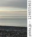 Pebble Beach with Birds Flying Over Calm Sea 124655463