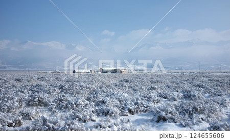 雪 スノー 冬 124655606