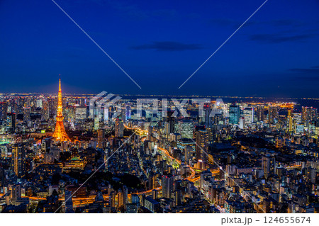 【東京都】東京都市風景・東京タワー　夜景 124655674