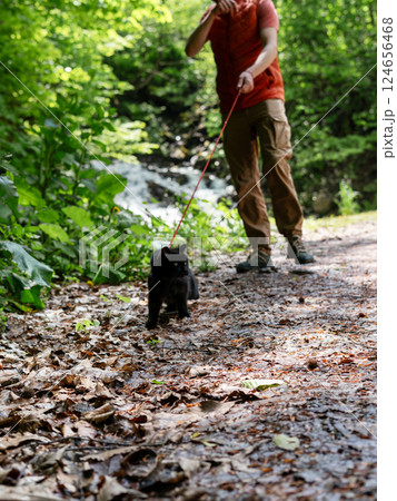 Cat wearing a leash being guided by owner on a forest path. The cat appears cautious while the owner gently encourages it forward, surrounded by lush green foliage Cat wearing a leash being guided by owner on a forest path. The cat appears cautious while the owner gently encourages it forward, surrounded by lush green foliage 124656468