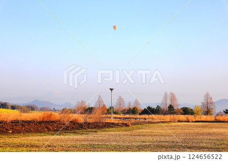 渡良瀬遊水地のコウノトリ人工巣塔 124656522