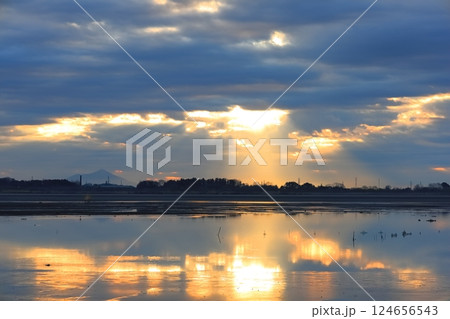 渡良瀬遊水地 谷中湖の朝の風景 124656543