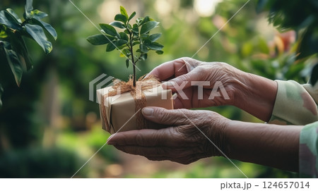 Close up of hands - grandmother giving a wrapped small teak that needs to be planted.  124657014