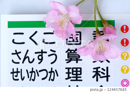 新学期の時間割のイメージ素材 124657685