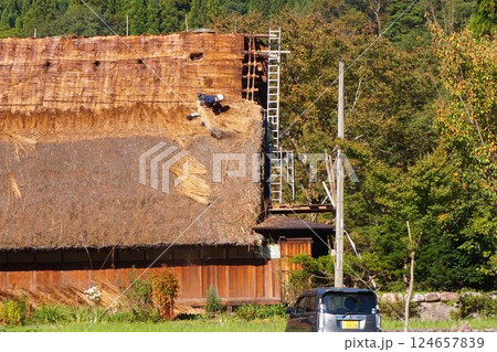 白川郷　茅葺屋根　葺き替え　職人 124657839