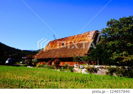 白川郷　茅葺屋根　葺き替え　職人 124657840