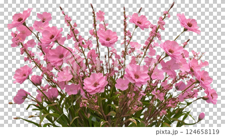Pink blooming flowers isolated on a transparent background beautifully detailed 3D rendering perfect for floral designs digital art and creative projects available in high-quality PNG format 124658119