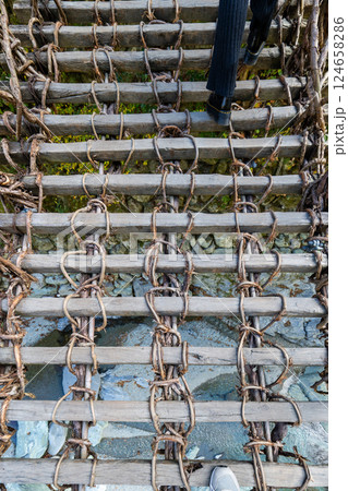 【徳島】祖谷のかずら橋 124658286