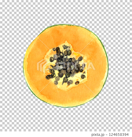 Round papaya slice with seeds watercolor textured illustration isolated on white. The hand-painted tropical fruit clip art is perfect for culinary designs, labels, prints, cards, packages and menu 124658394