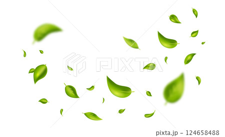 Green flying leaves on long white banner. Leaf falling. Wave foliage ornament. Vegan, eco, organic design element. Cosmetic pattern border. Fresh tea background. Beauty product. Vector illustration 124658488