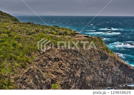 悪天候で荒れ狂う足摺岬 悪天候で荒れ狂う足摺岬 124658629