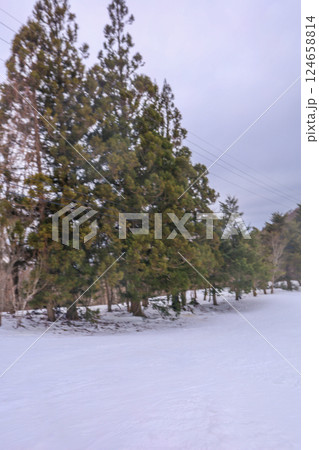 春の訪れの近い雪景色のゲレンデ 春の訪れの近い雪景色のゲレンデ 124658814
