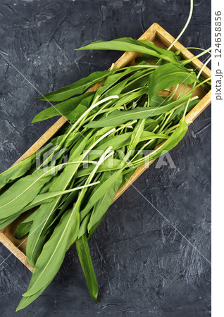Fresh wild ramps or leeks. 124658856
