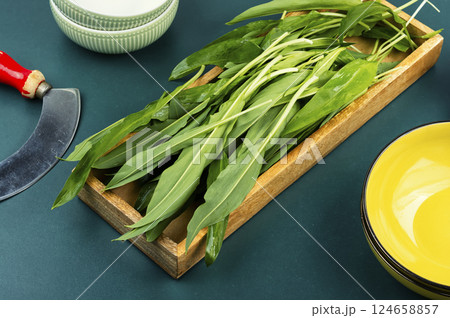 A bunch of wild leeks. 124658857