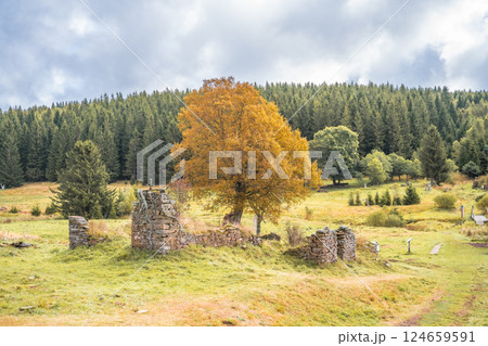 The remains of Konigsmuhle settlement sit quietly in the Ore Mountains of Czechia, surrounded by vibrant trees and lush greenery under a cloudy sky, conveying a sense of history and tranquility. The remains of Konigsmuhle settlement sit quietly in the Ore Mountains of Czechia, surrounded by vibrant trees and lush greenery under a cloudy sky, conveying a sense of history and tranquility. 124659591