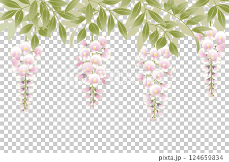 Wisteria flower illustration frame 2 Wisteria flower illustration frame 2 124659834