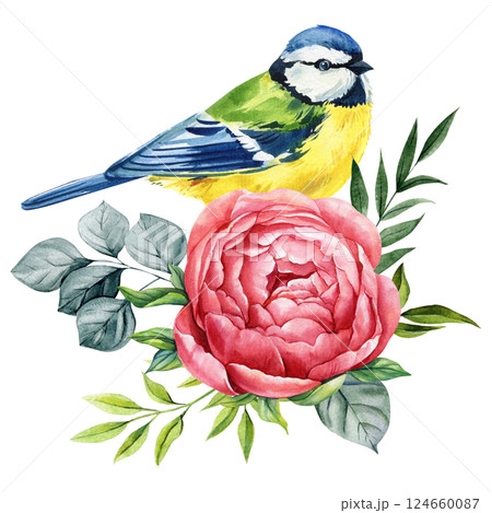 Watercolor tit bird with pink peony flower and green leaves floral, garden spring nature design and greeting card print 124660087