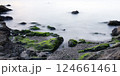 神奈川県横須賀市　梵天の鼻の岩礁 124661461