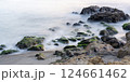 神奈川県横須賀市　梵天の鼻の岩礁 124661462