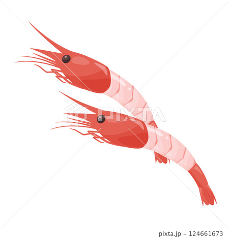 有頭の甘えびの刺身のイラスト素材 124661673